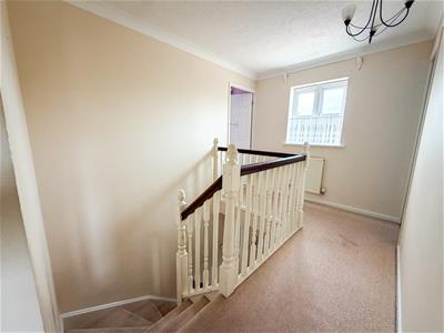 Picture 13